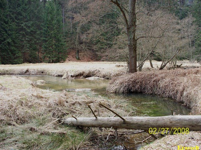Kirnitzsch Bild 5 Kirnitzsch Bild 5